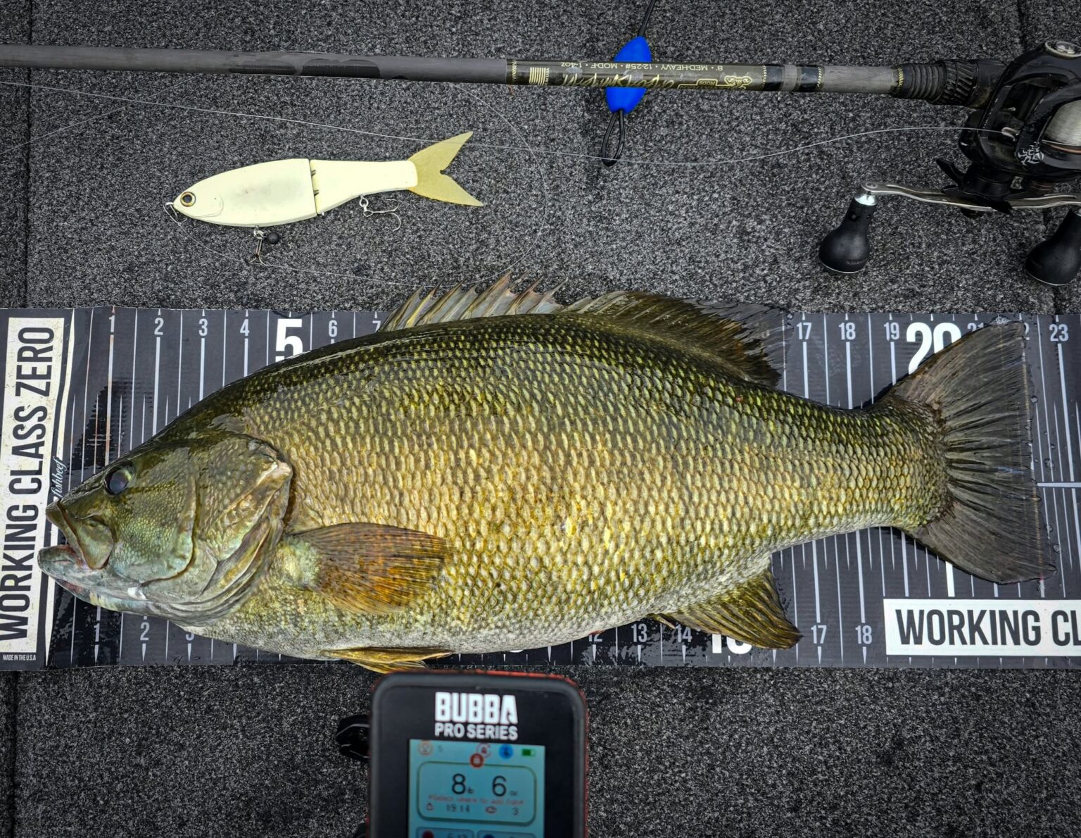 A trophy-sized smallmouth bass on a measuring board.