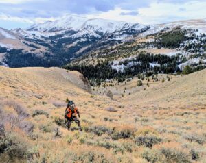 An elk hunter on public land in Montana.