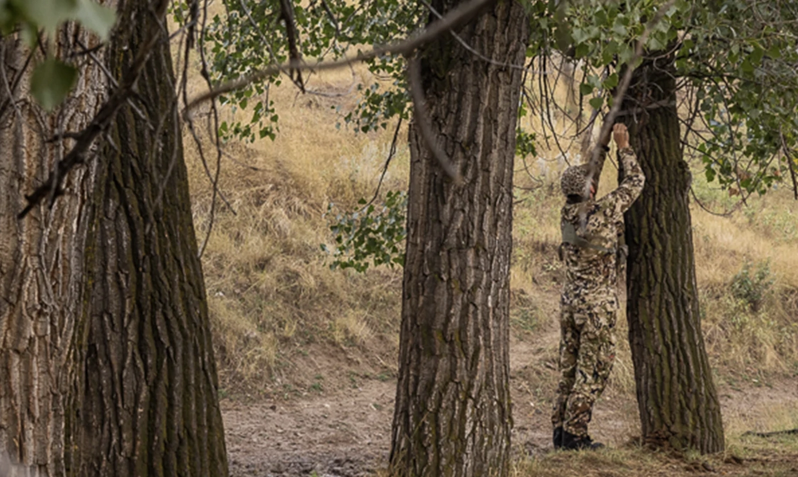 9 RULES OF TRAIL CAMERA CONCEALMENT