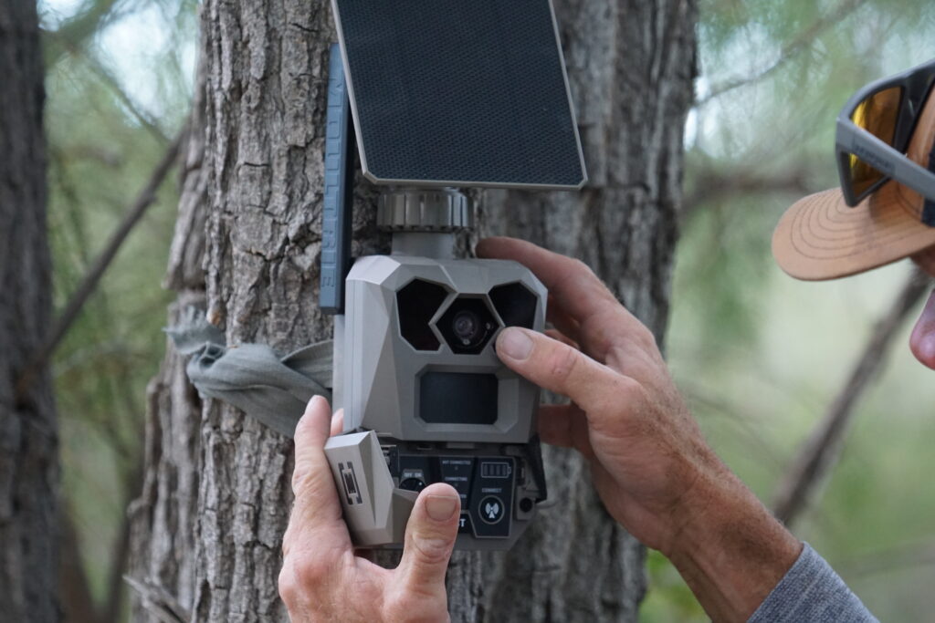 A person checks solar-paneled trail camera attached to a tree.