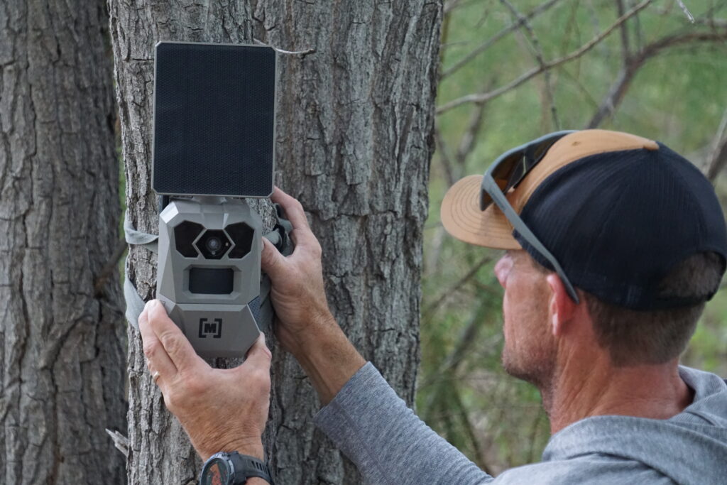 A man attaches a trail camera with a solar panel to a tree.