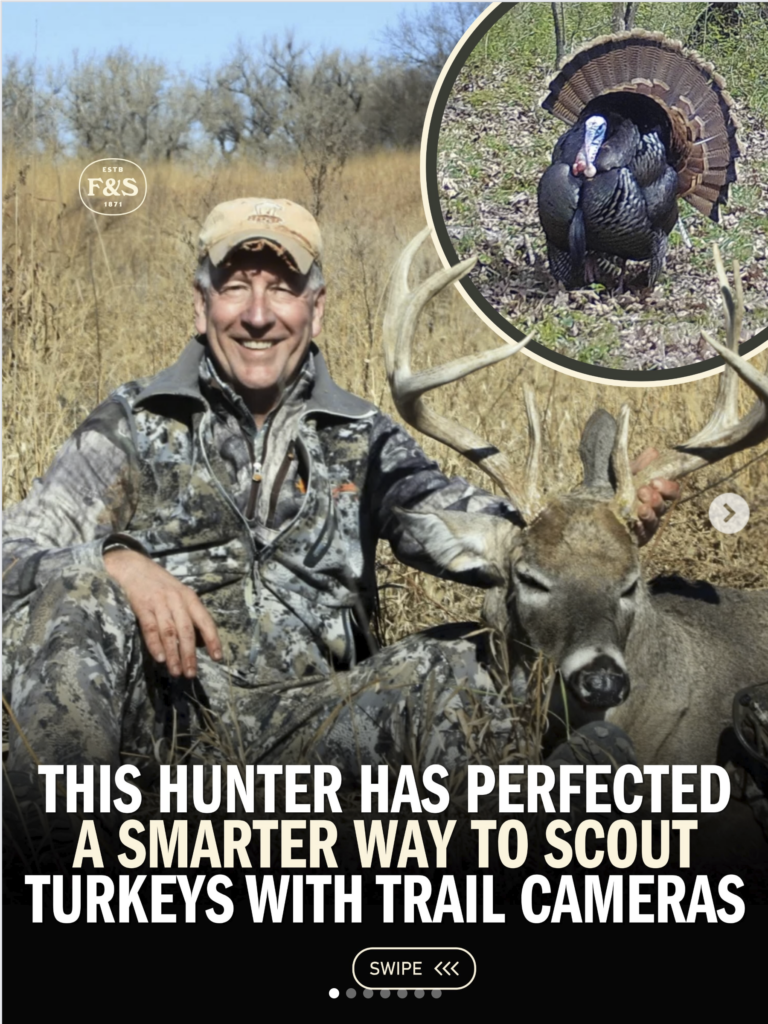 instagram - This hunder has perfect way to scout turkeys