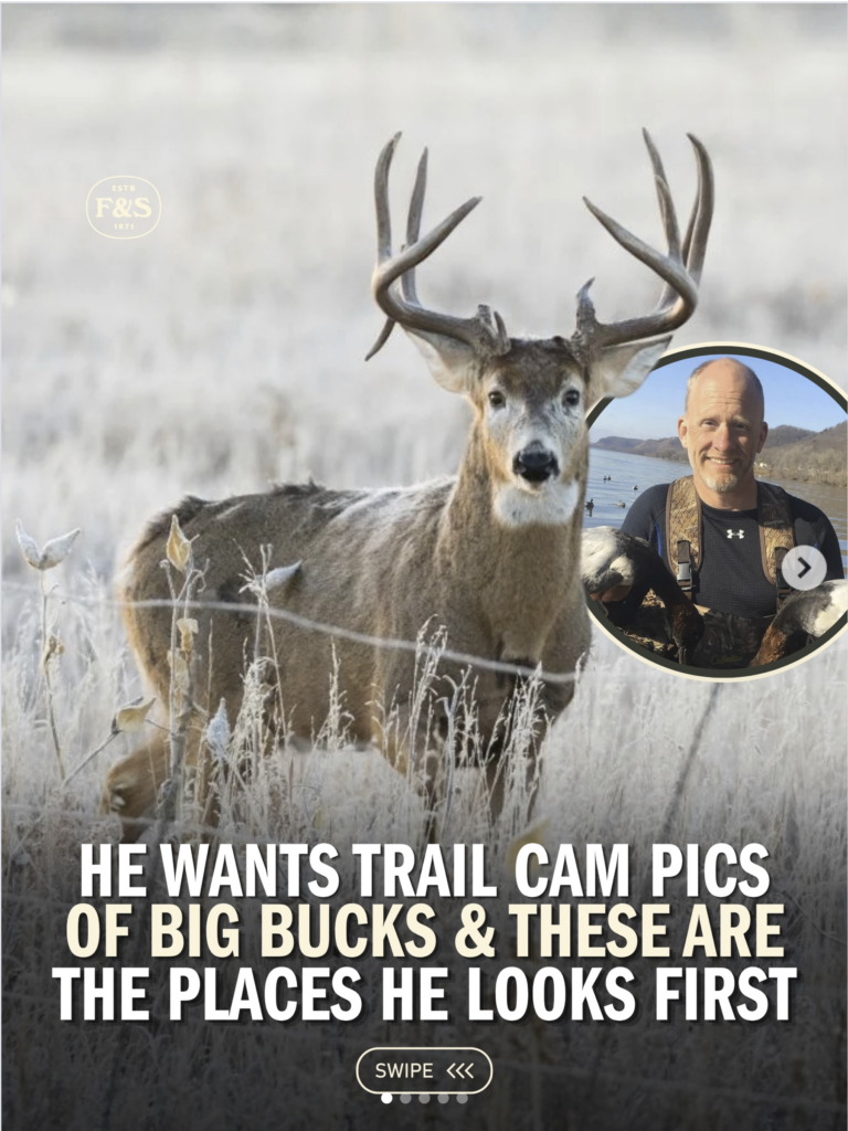 Instagram post - Trail cam pics of big bucks