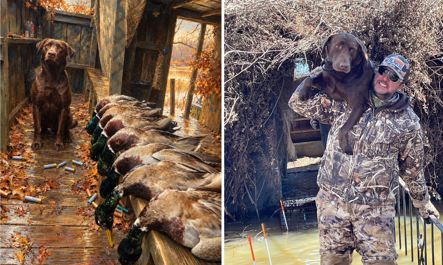 two photos of a dog with ducks and a hunter holding his dog.
