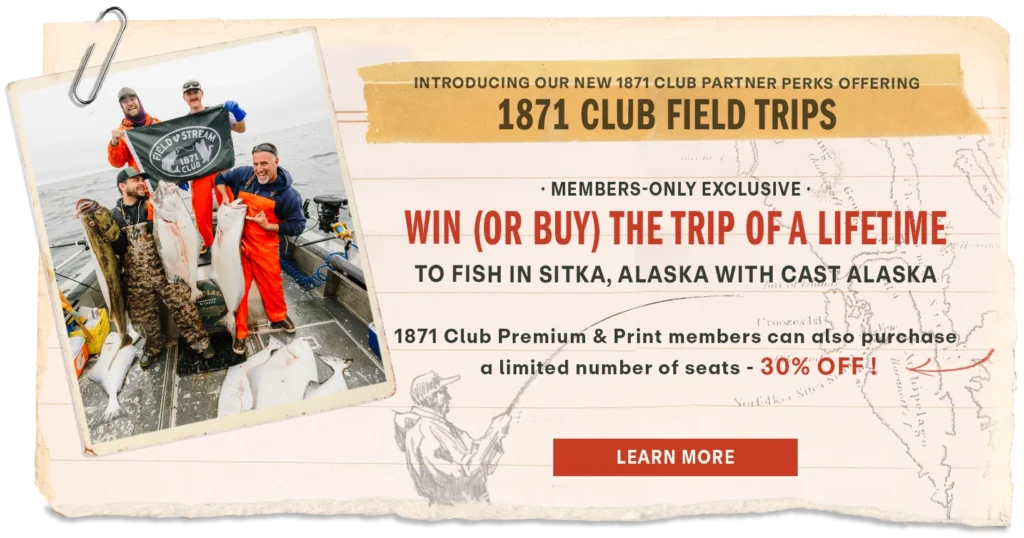 introducing 1871 Field Trips