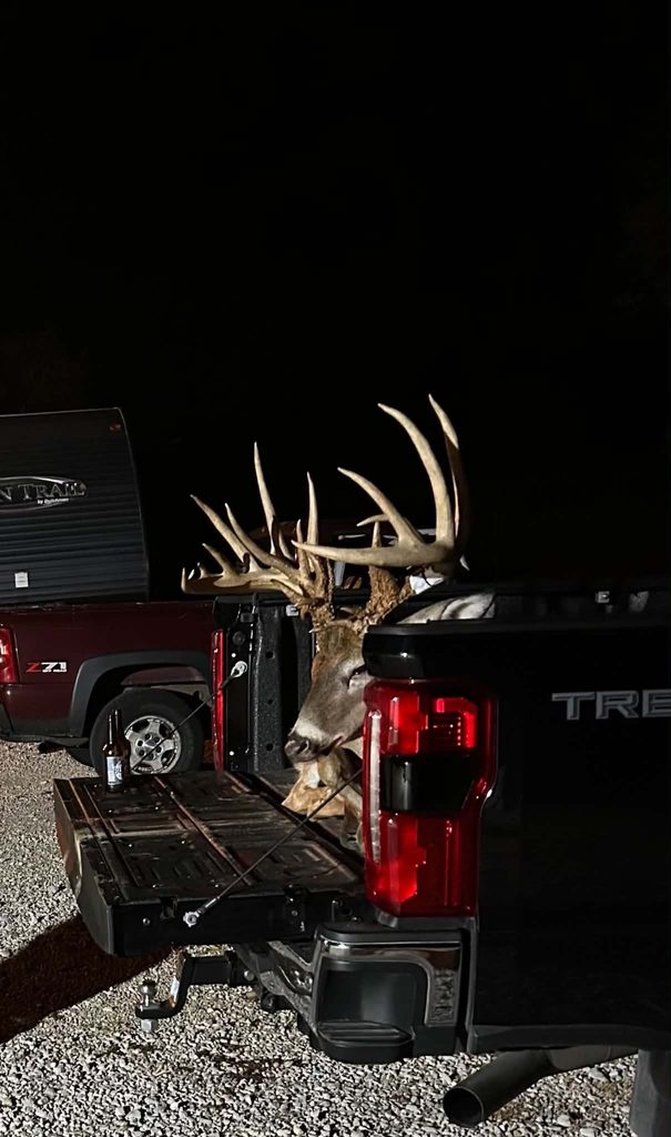A trophy whitetail in a hunter's truck bed. 