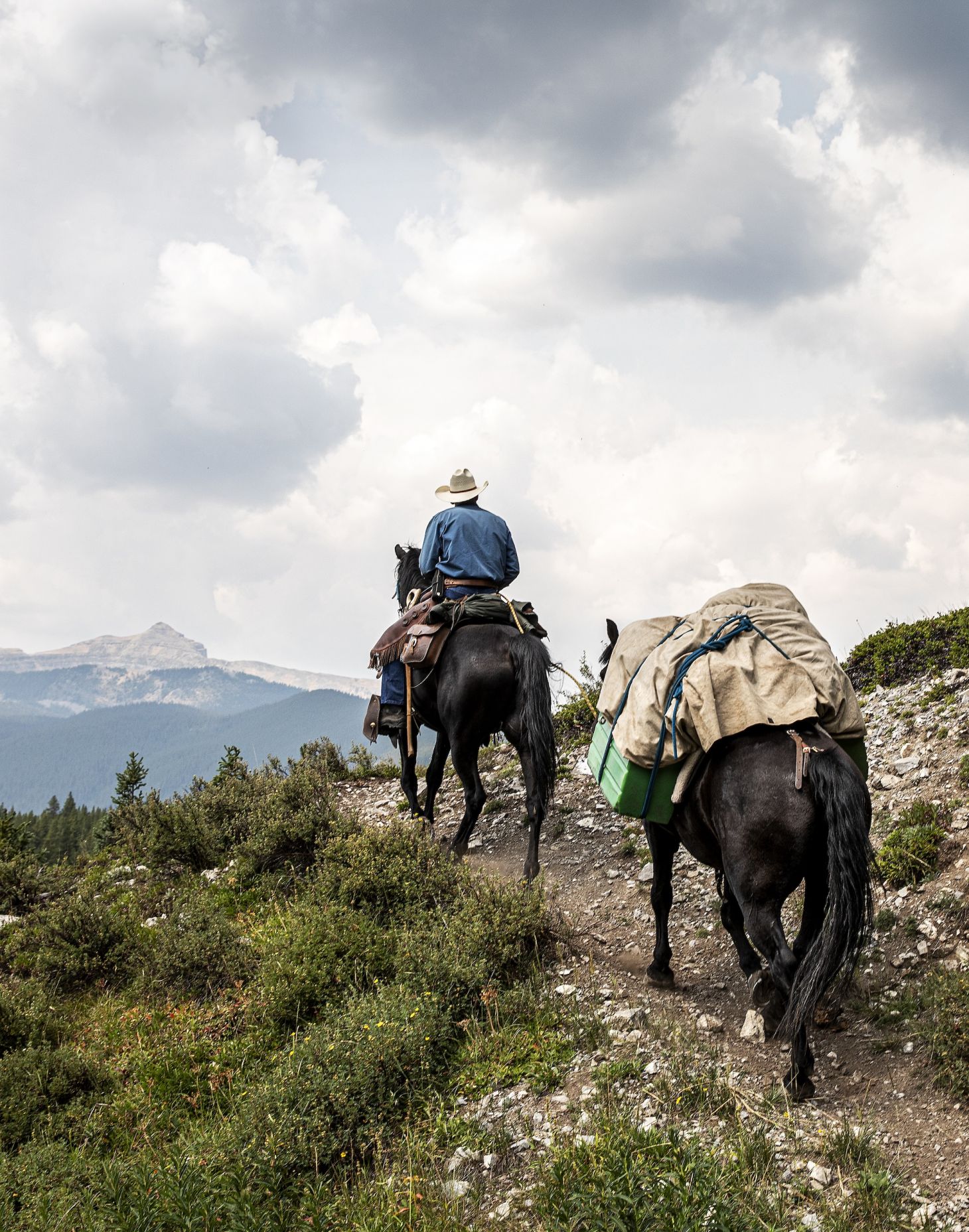 cowboy-riding-horse-along-ridge