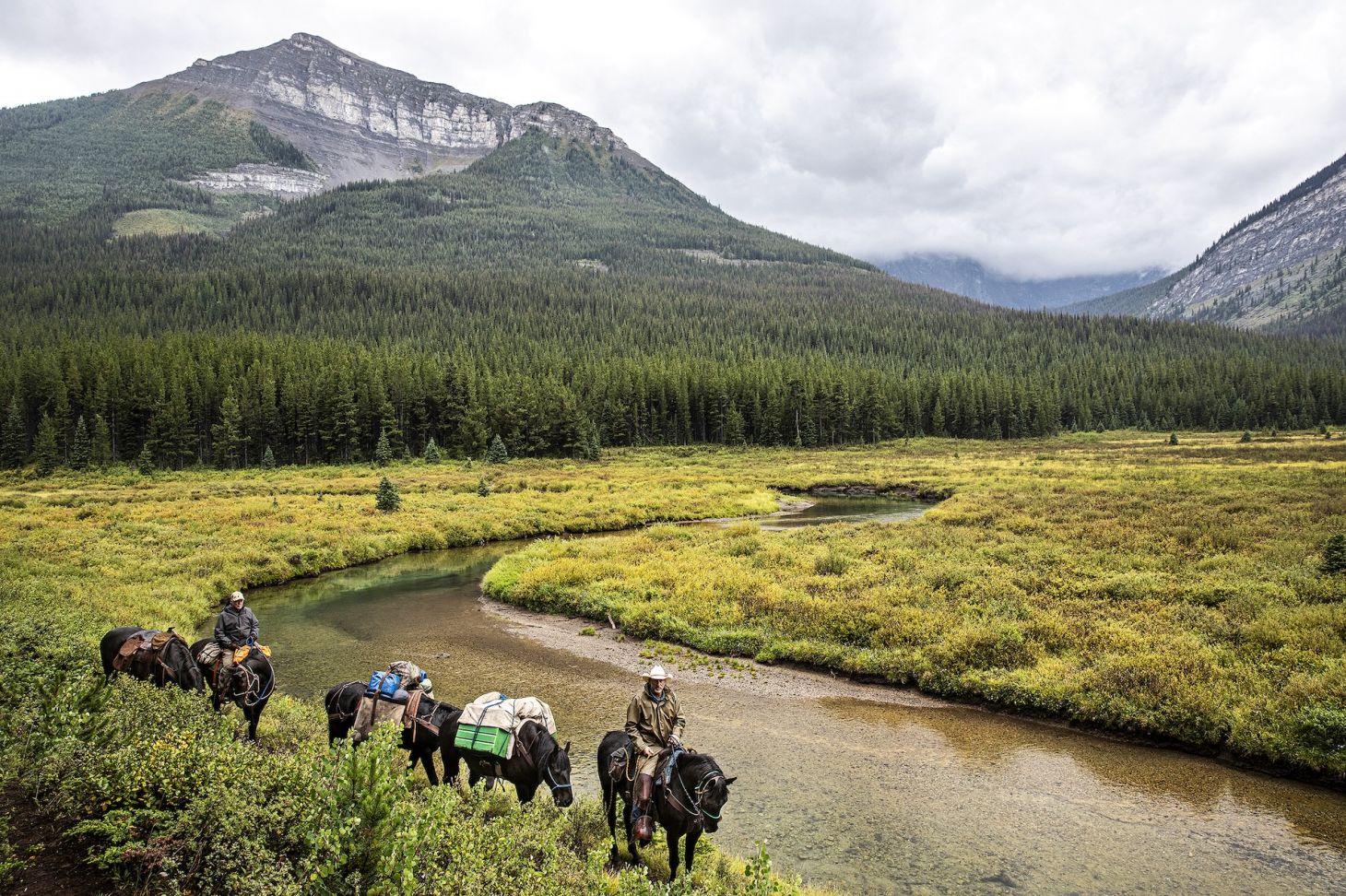 horse-pack-string-wilderness