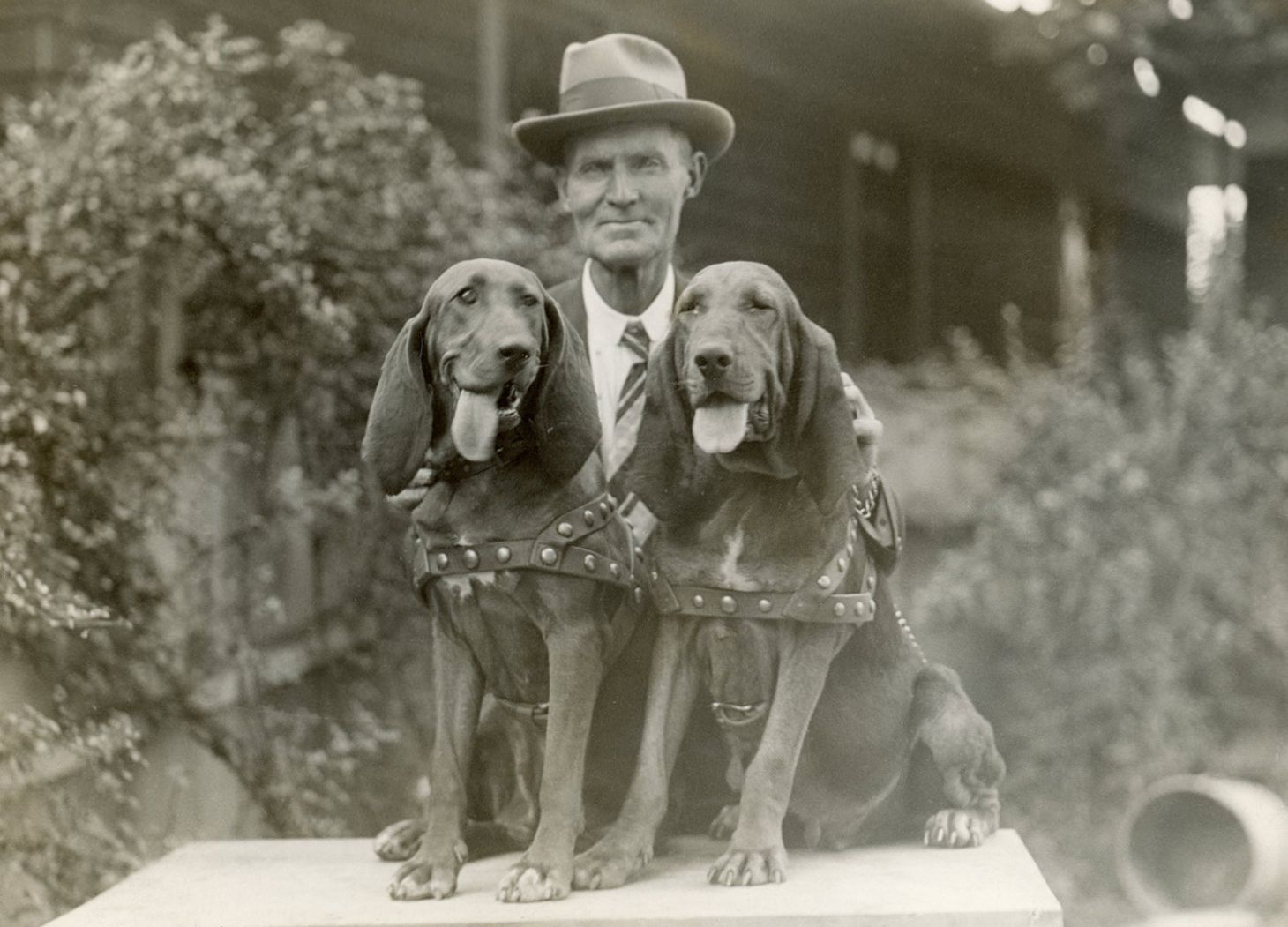Captain Volney (V.G.) Mullikan and his bloodhounds (Photo/Field & Stream Archives)