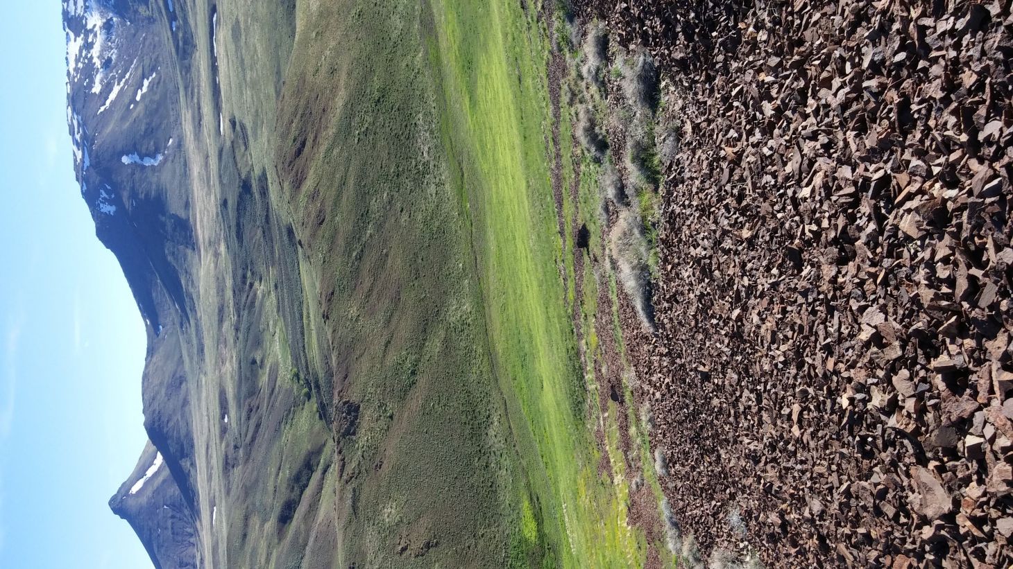 A portion of public land in the United States where an Australian company wants to mine for lithium. 