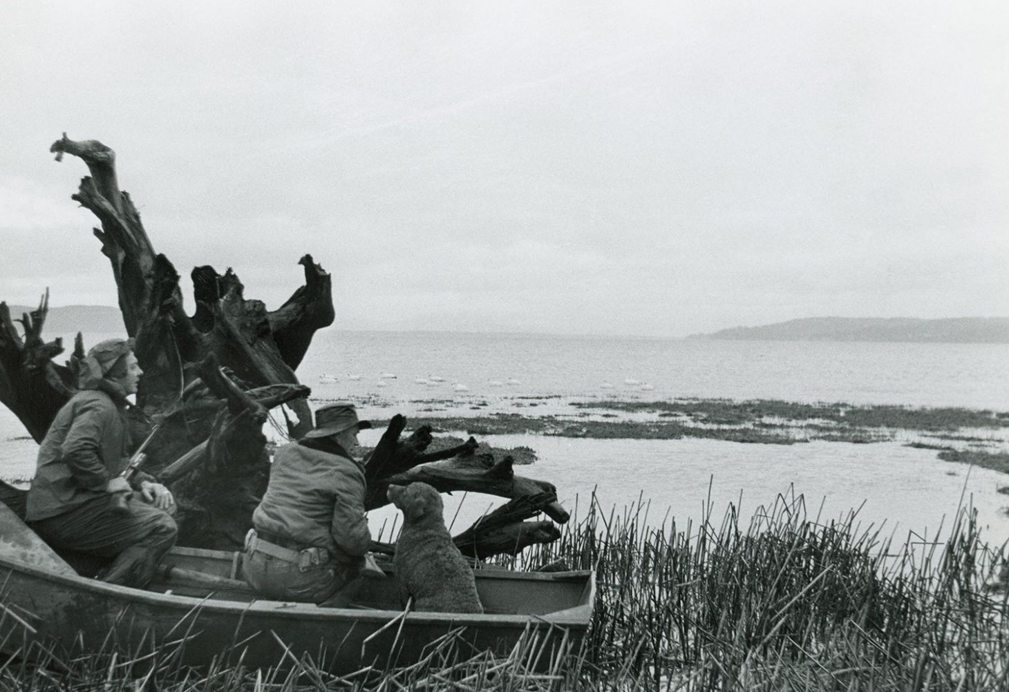 Two duck hunters with a Chesapeake bay retriever (Photo/Field & Stream Archives)