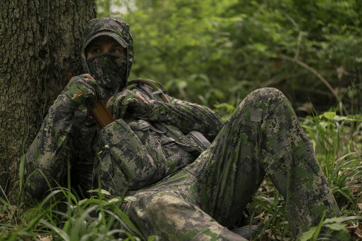 Turkey hunters on tree