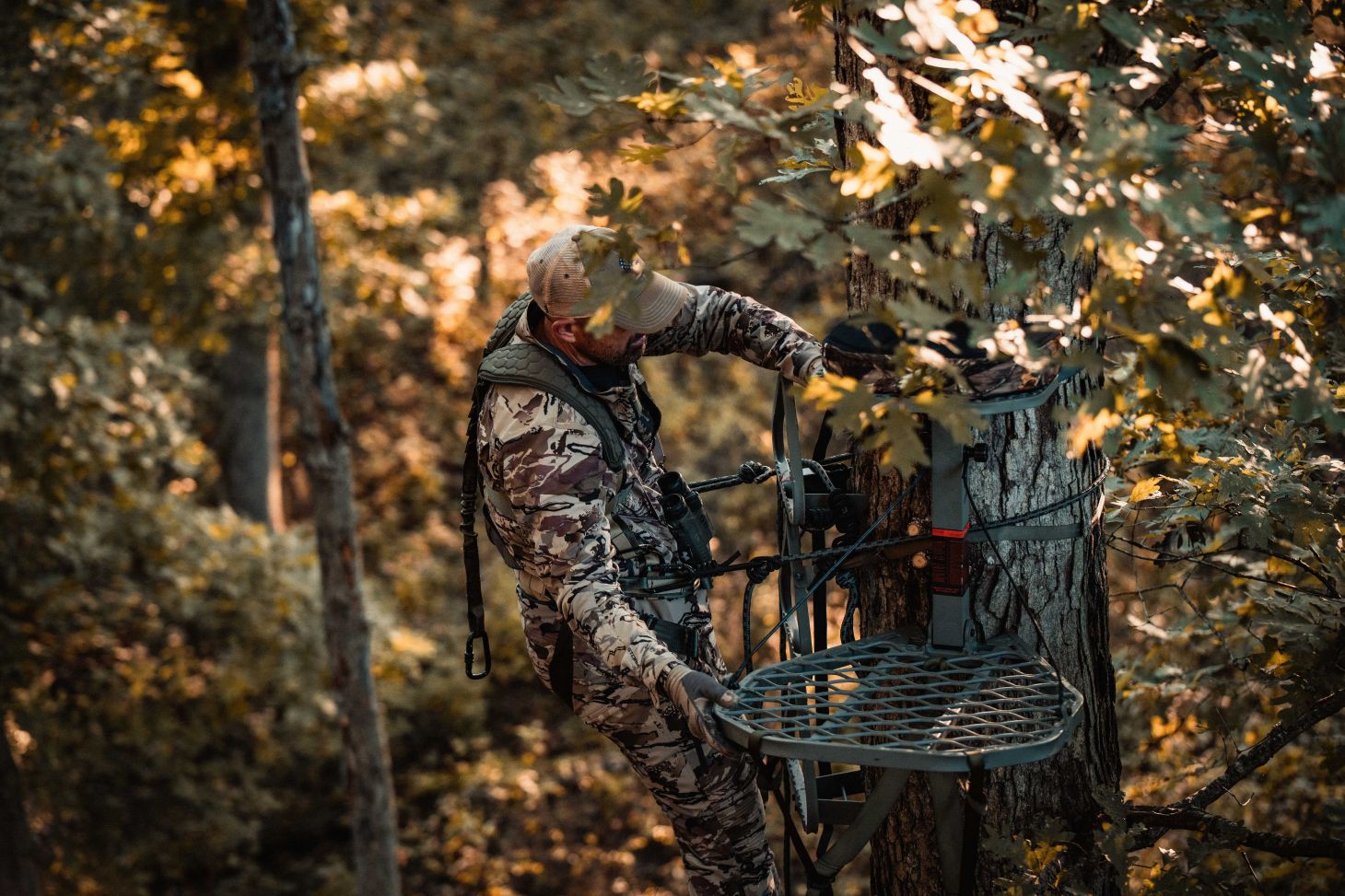 A bowhunter hangs a tree stand in a tree. 