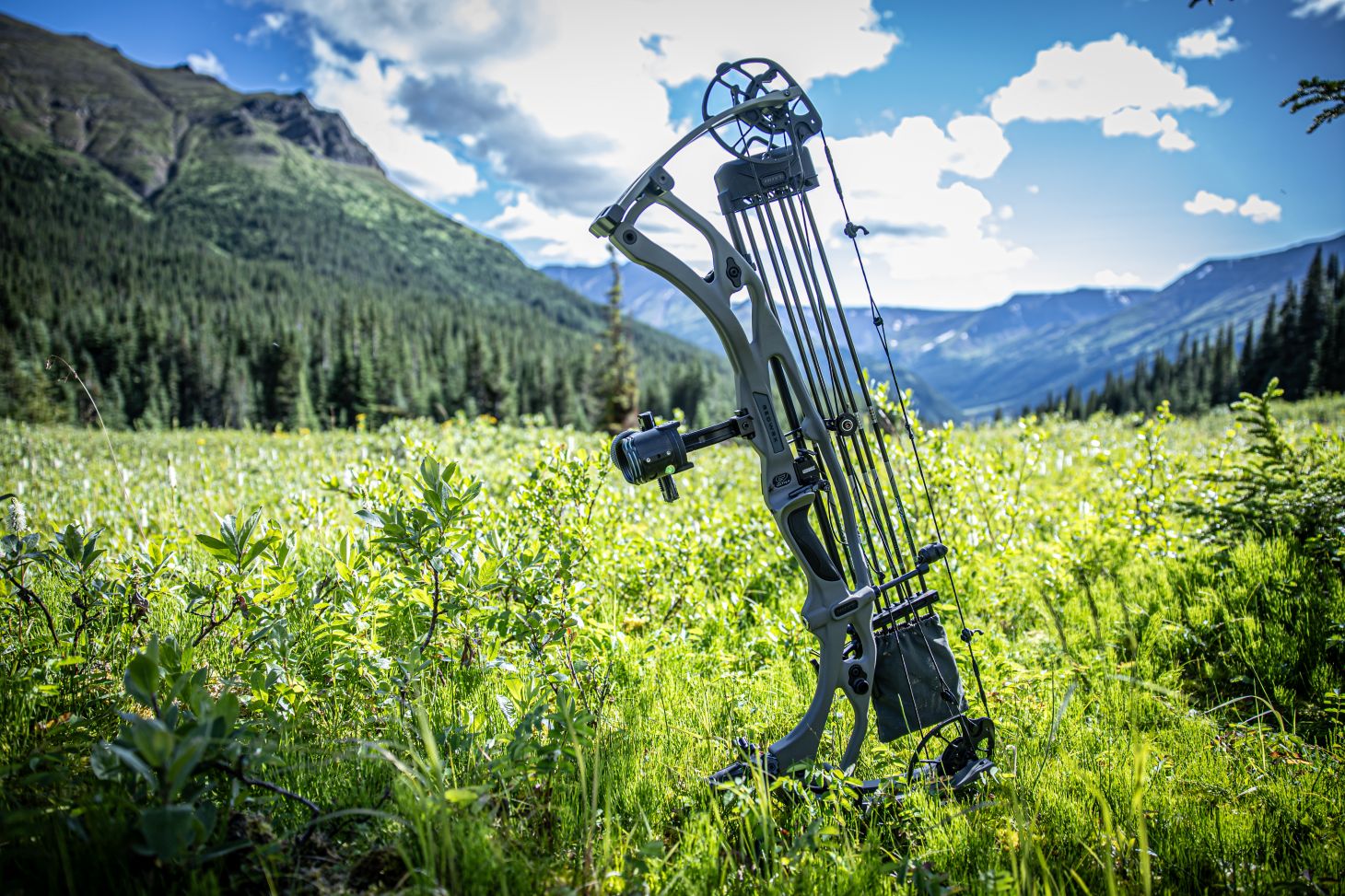 The new Hoyt Carbon RX-9 compound bow standing in a field with mountains in the background. 