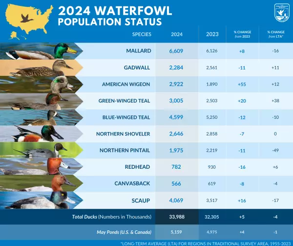 A graphic showing waterfowl population status. 