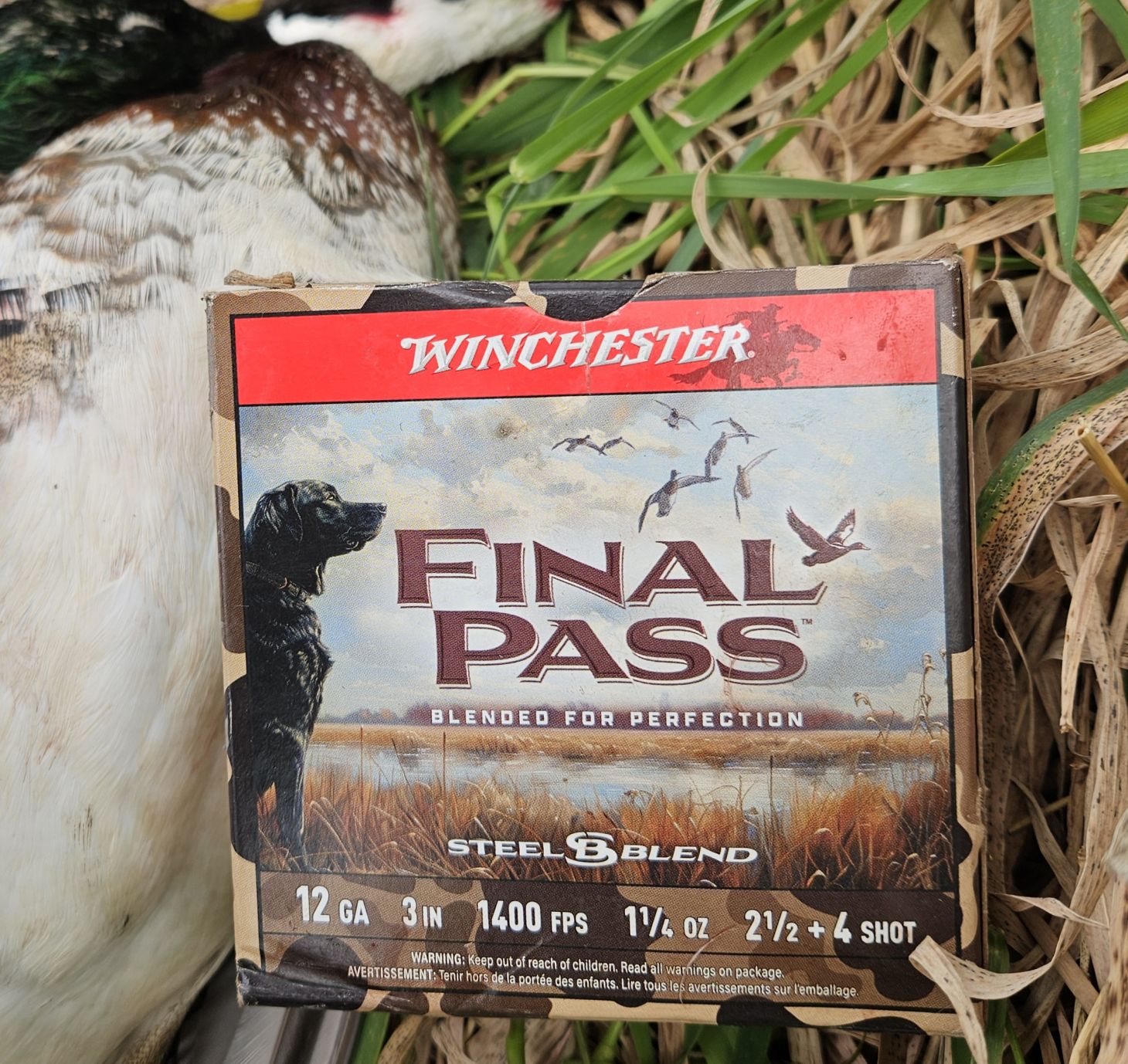 WInchester Final Pass loads
