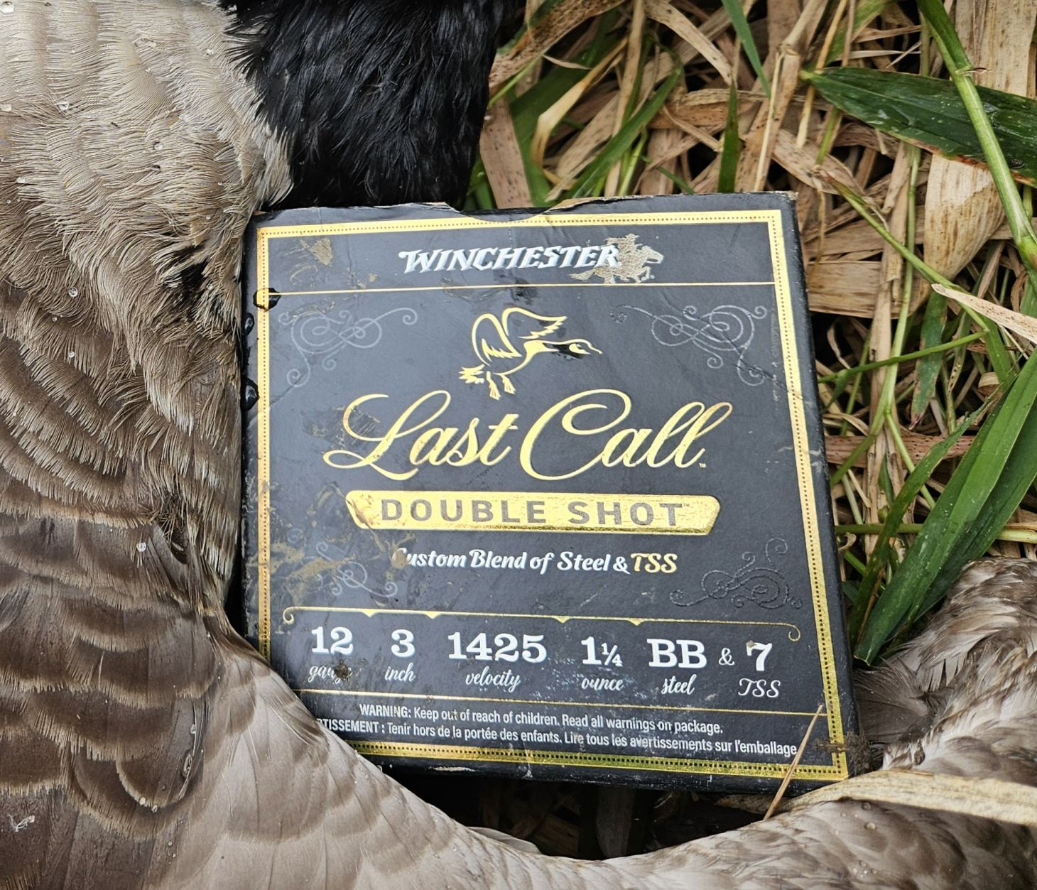 Last Call Double Shot with goose