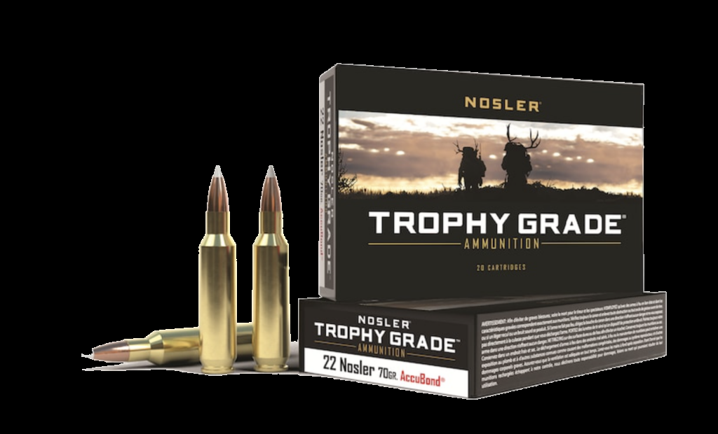22 Nosler ammo