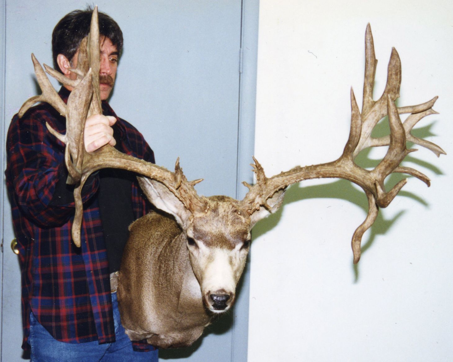 The Jack Aldredge Buck—Oregon