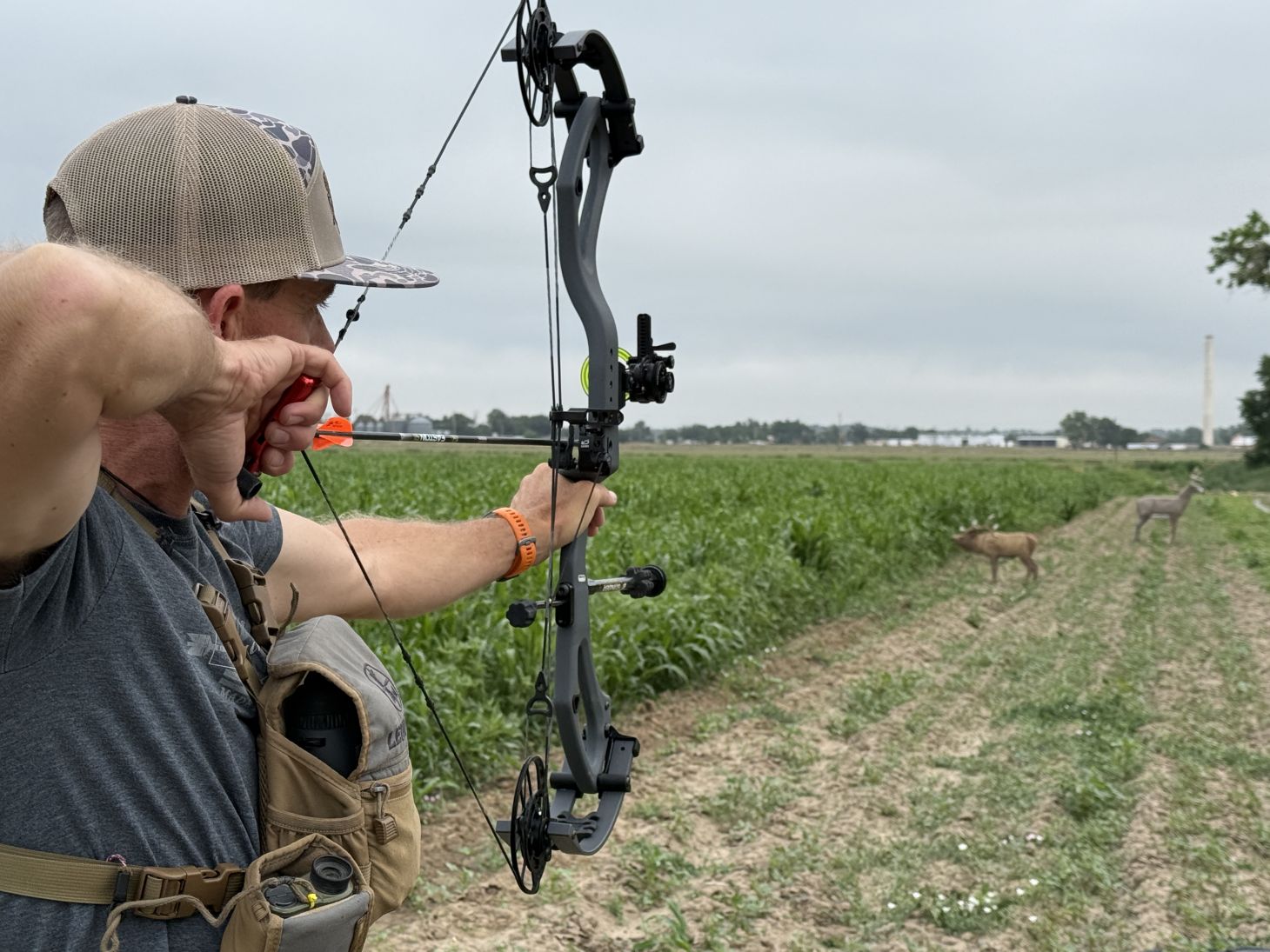 An archer shoots the new PSE Mach 33 DS on a 3D range.