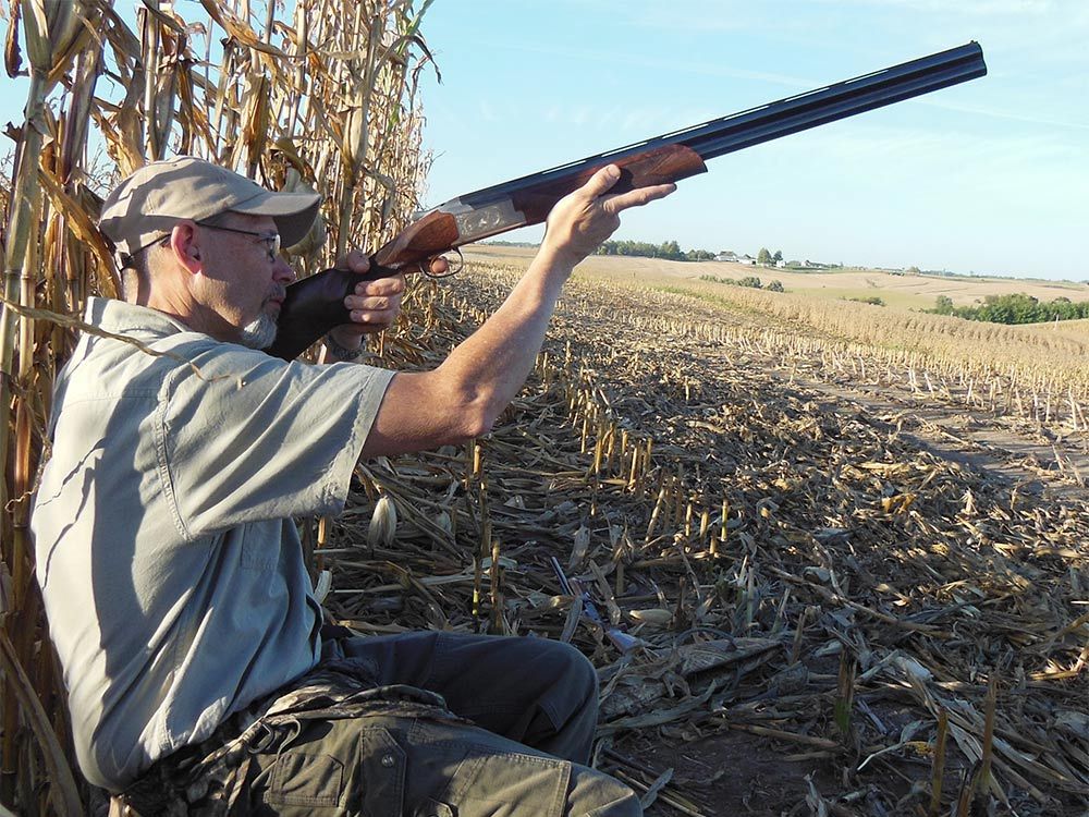 Man dove hunting in a field.