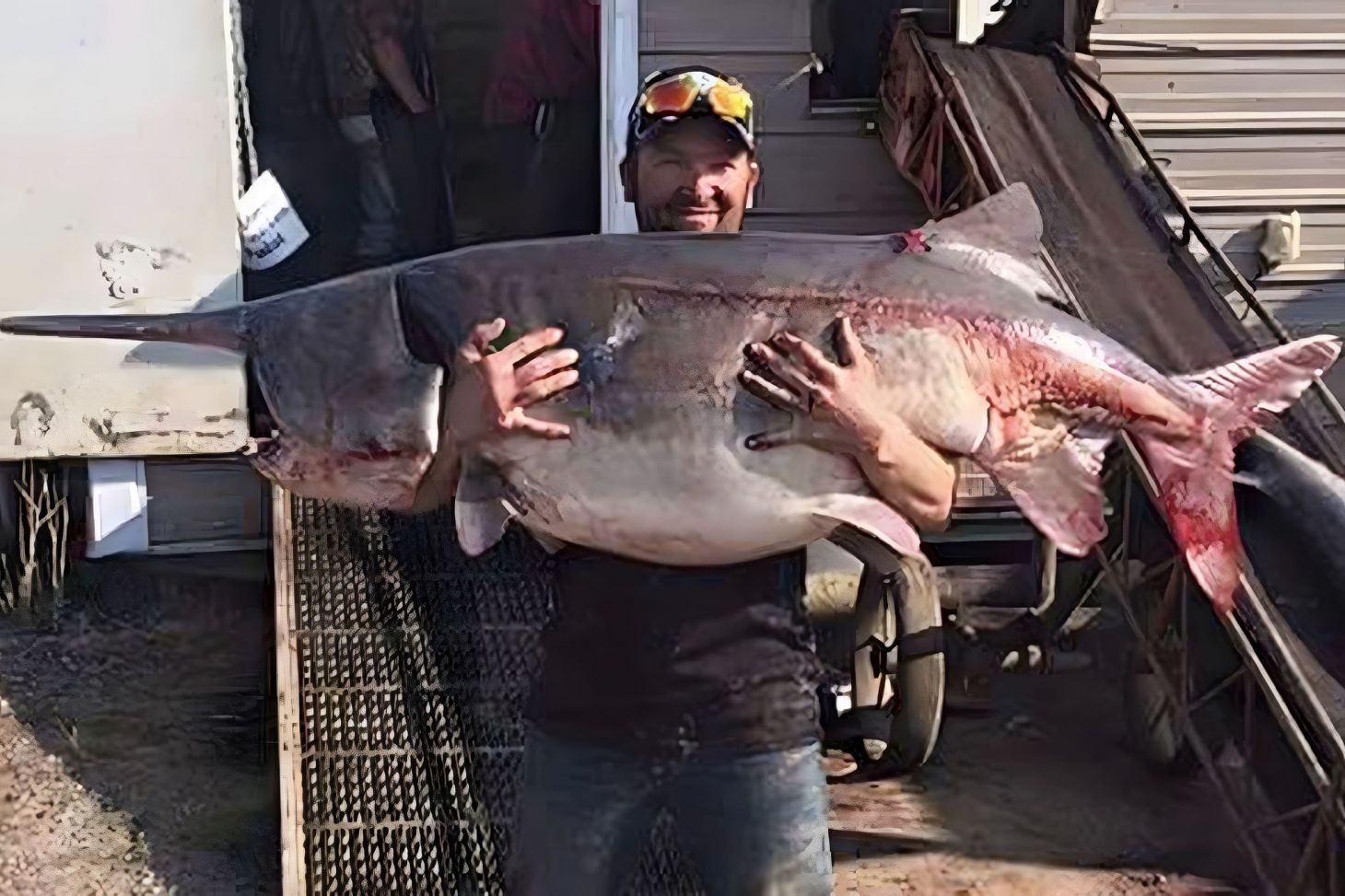 474964396 122170884986266921 748915070339906056 n