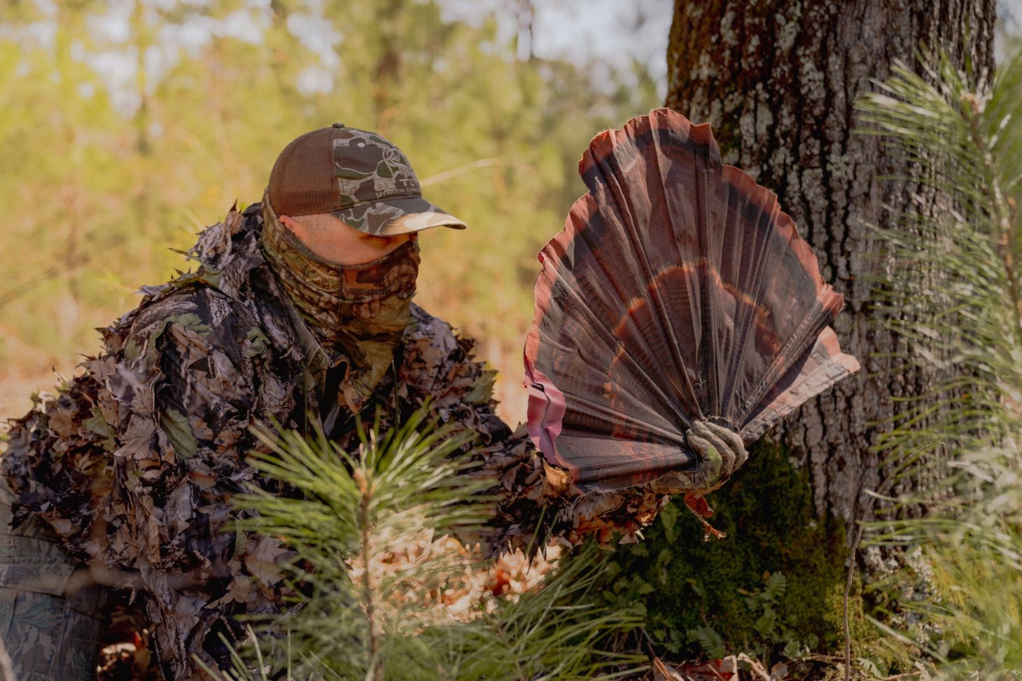 A hunter uses a tail fan during a turkey hunt. 