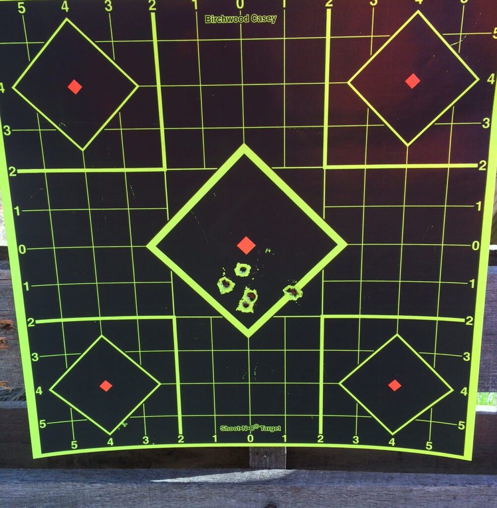 shot group with a sako finnbear