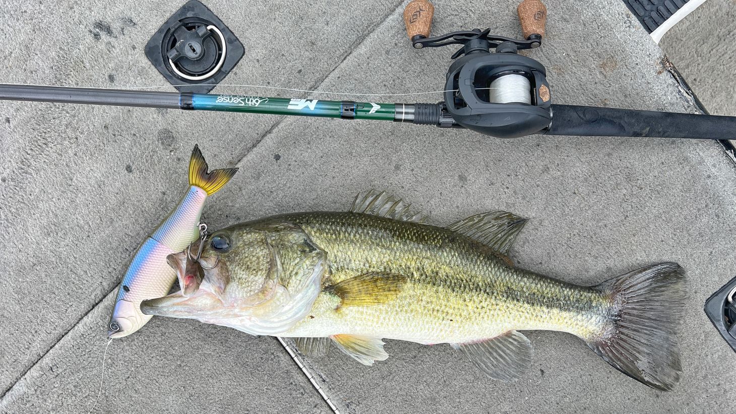 A largemouth bass on the deck of the boat with a glide bait in it's mouth