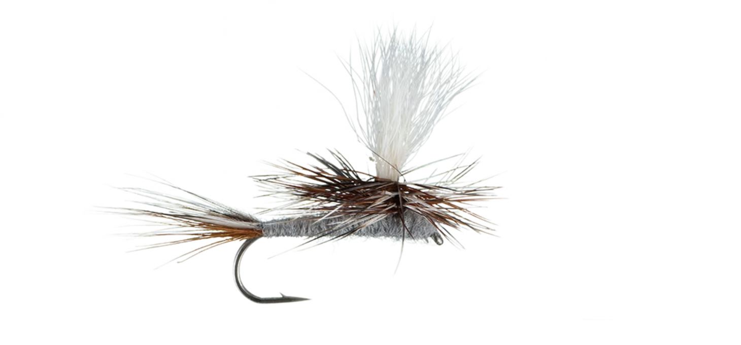 A Parachute Adams fly on a white background.