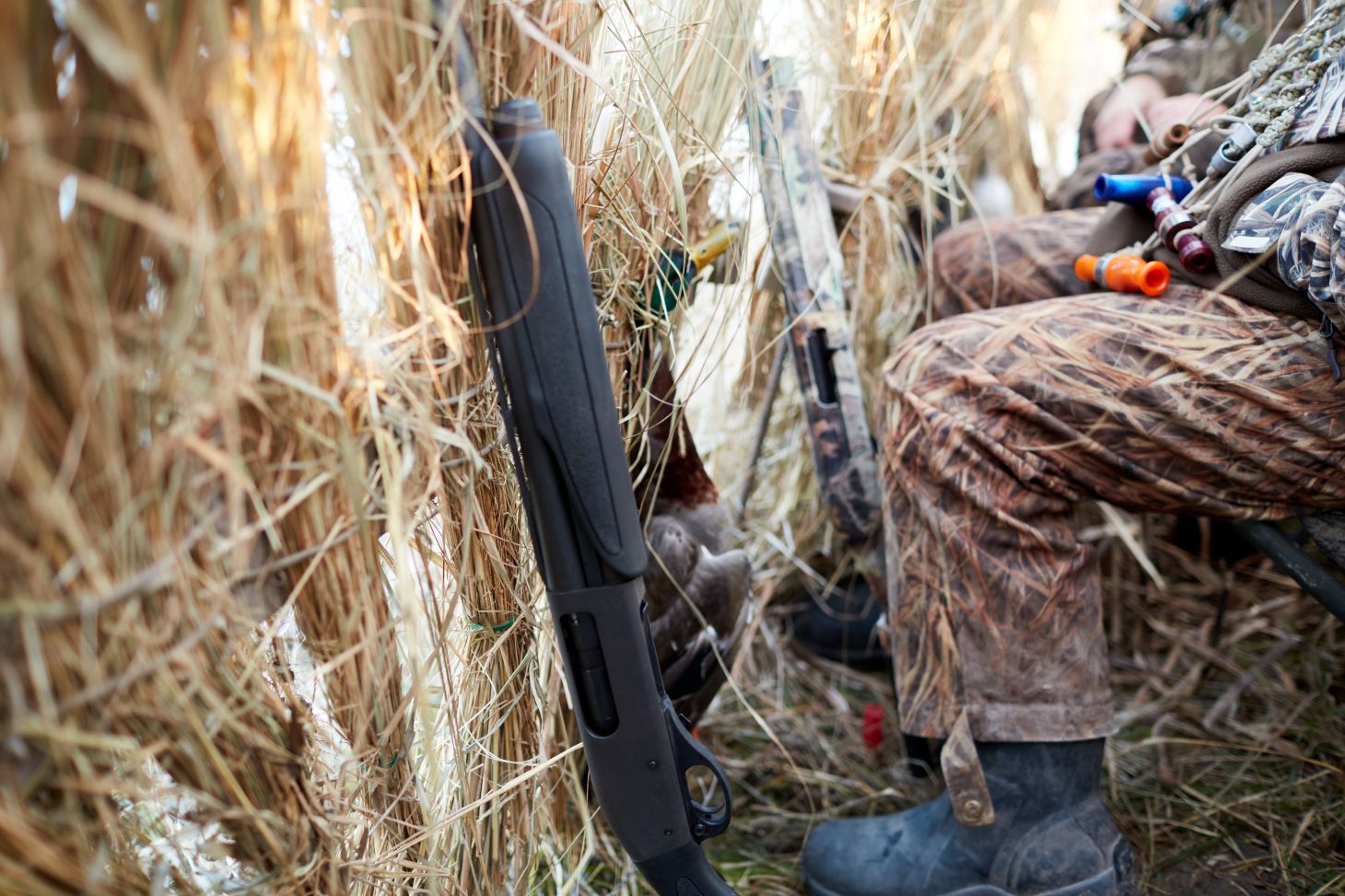 Photo of hunters sitting in a blind waiting to pass-shoot at geese during a hunt