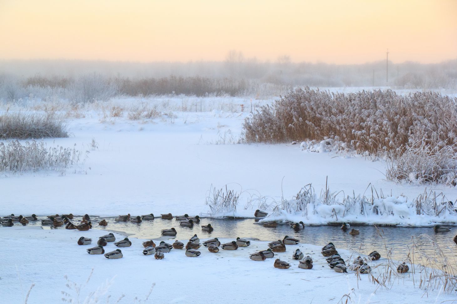 AdobeStock 914014195