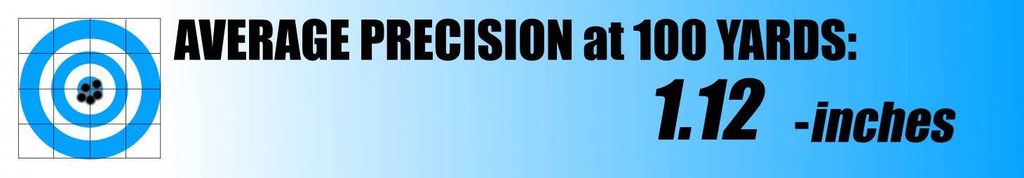 Chart showing Savage Axis 2 precision results for best rifles of 2025.