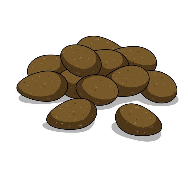 Illustration of elk poop.