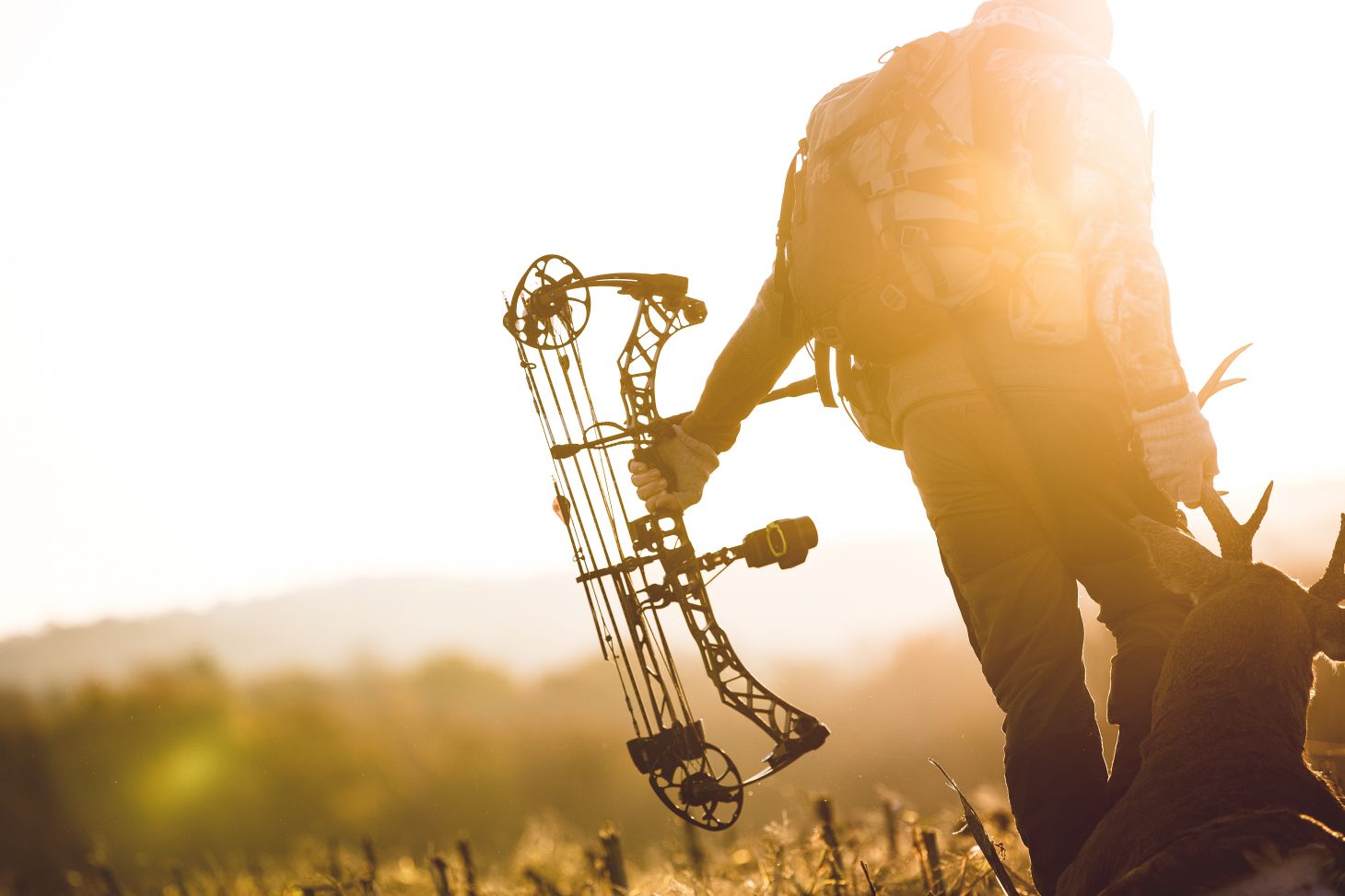 A bowhunter drags out a whitetail deer. 