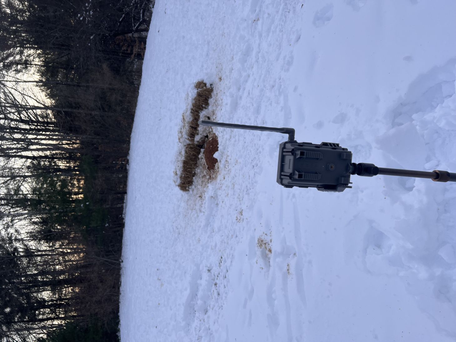 An illegal bait site photographed by fish and game agents in New Hampshire. 
