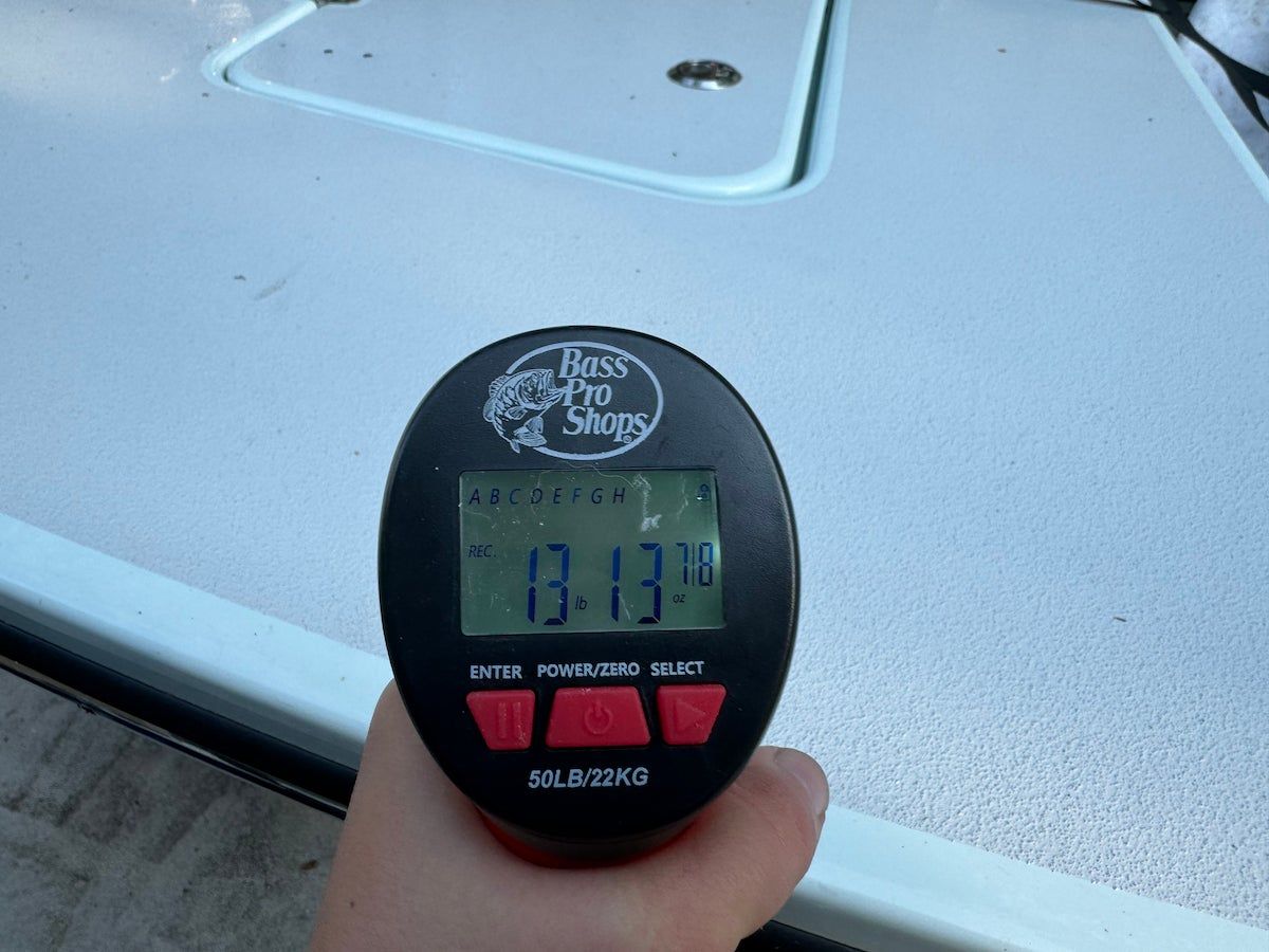 Close-up of Bass Pro Shops XPS fish scale screen