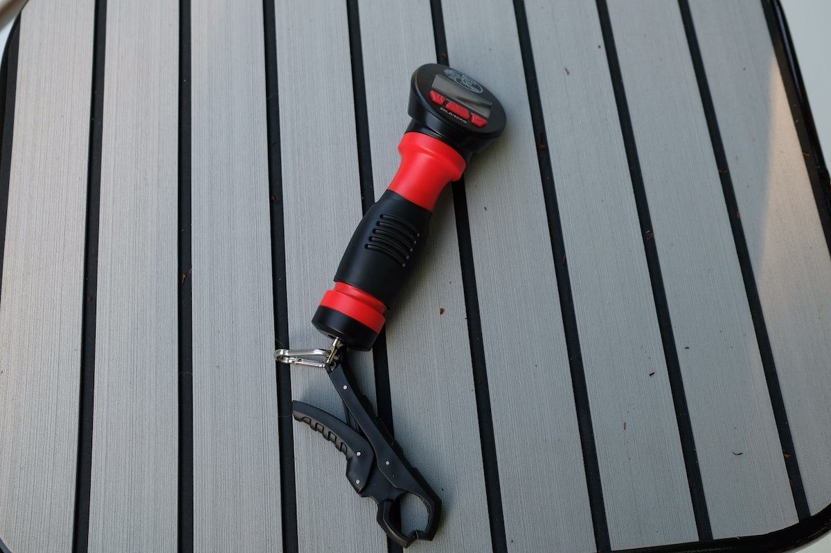 Bass Pro XPS Fish Scale laying on table