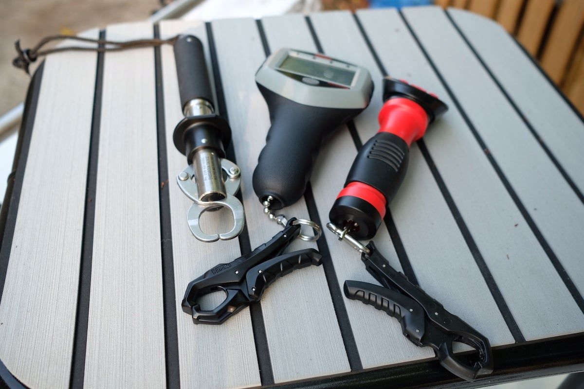 Assorted fish scales laying on table