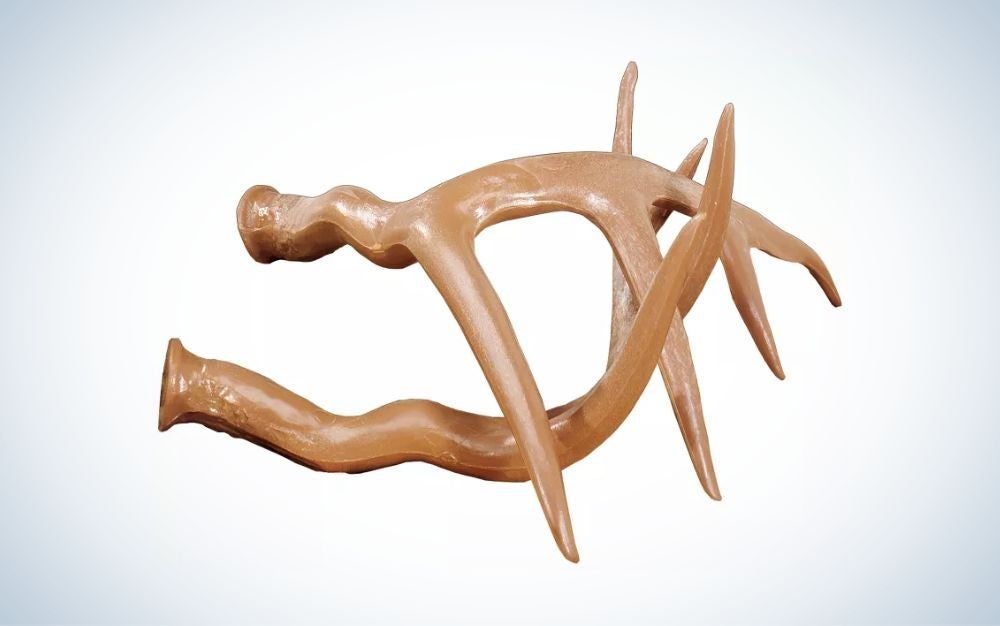 Primos FightinÃ¢€™ Horns