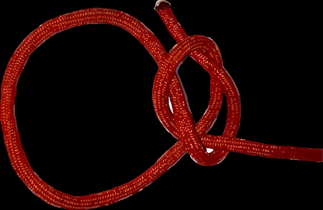 bowline knot step 4