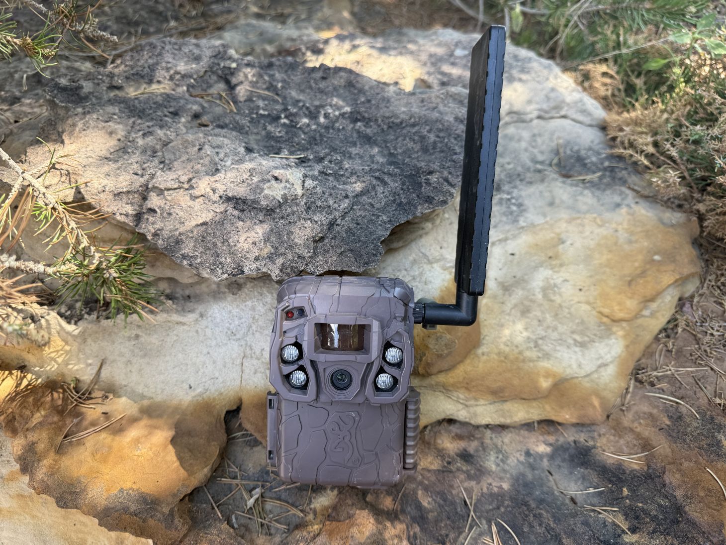 Browing Defender Vision Pro LiveStream trail camera show on the ground. 