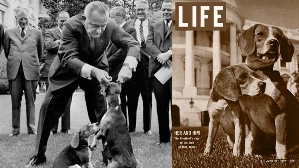 lyndon b johnson and hunting beagles