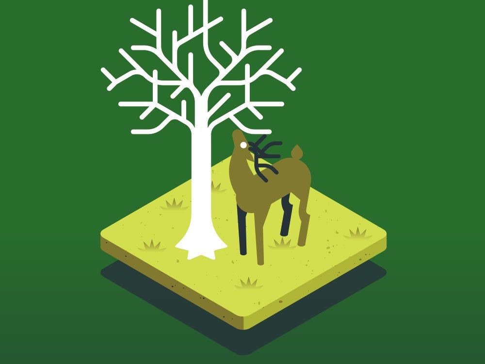 leave some trees on plot