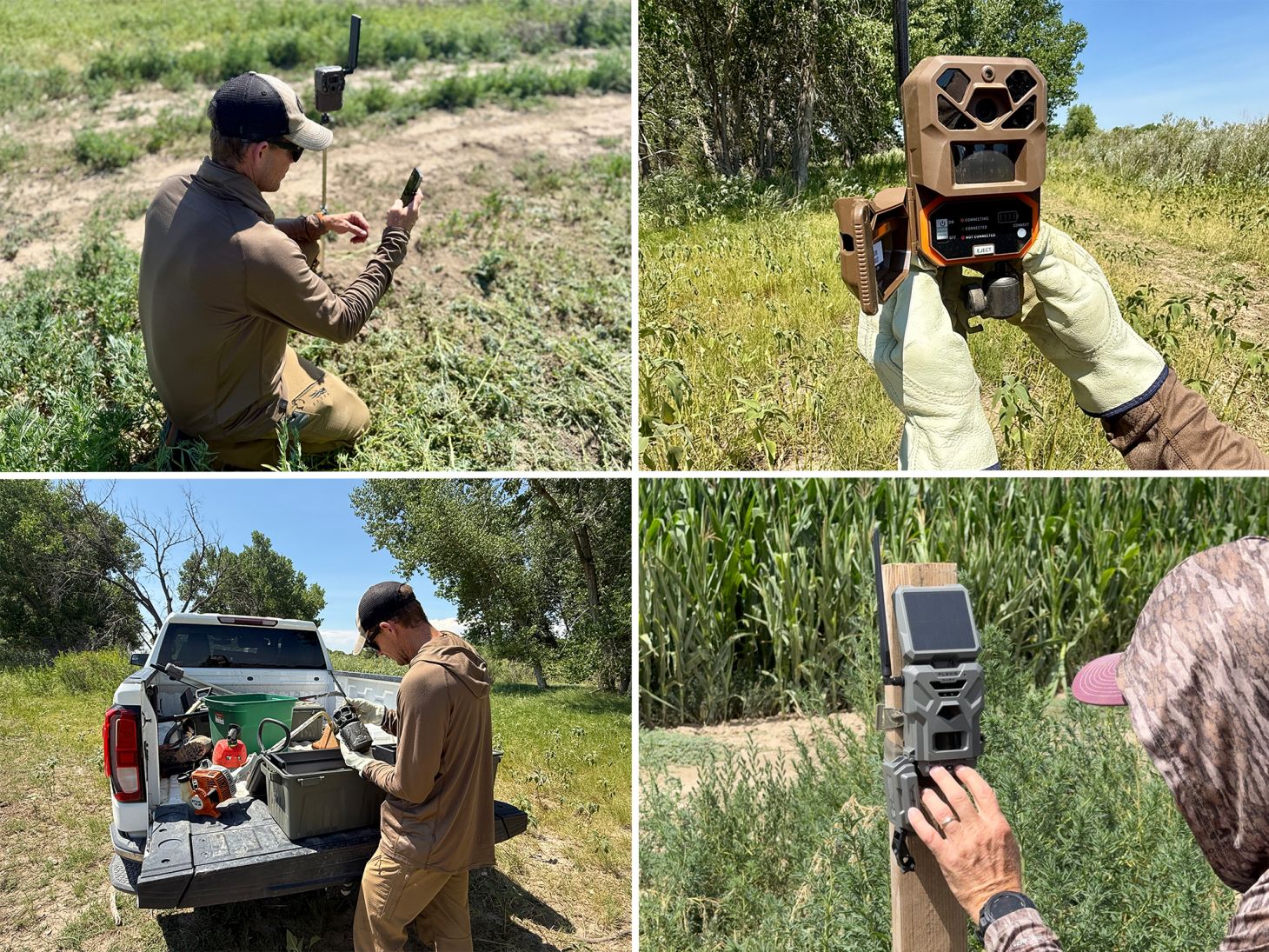 A grid of photos showing a man setting up trail cameras.