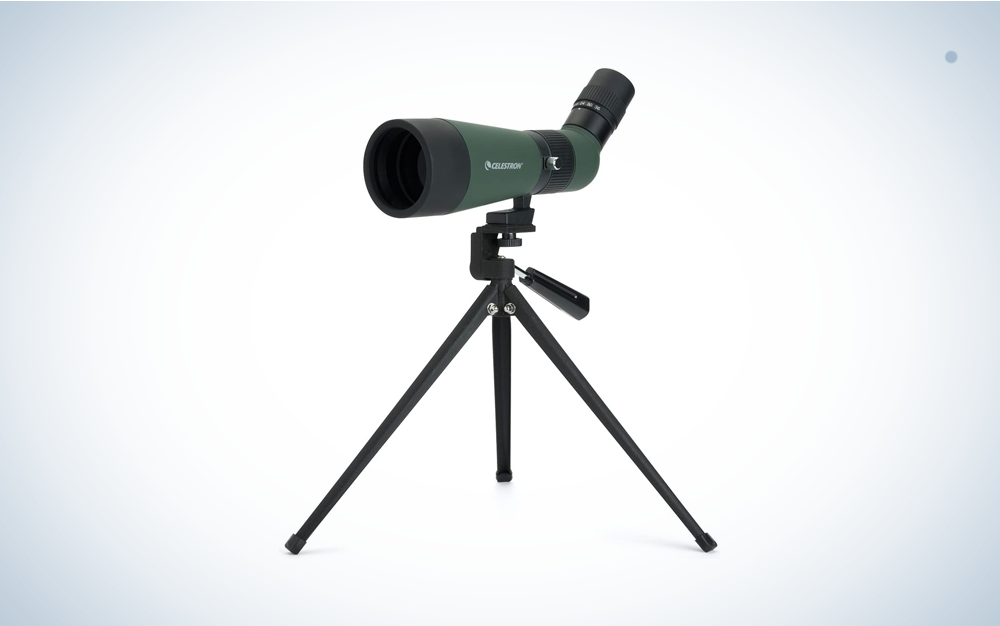 Celestron spotting scope for kids