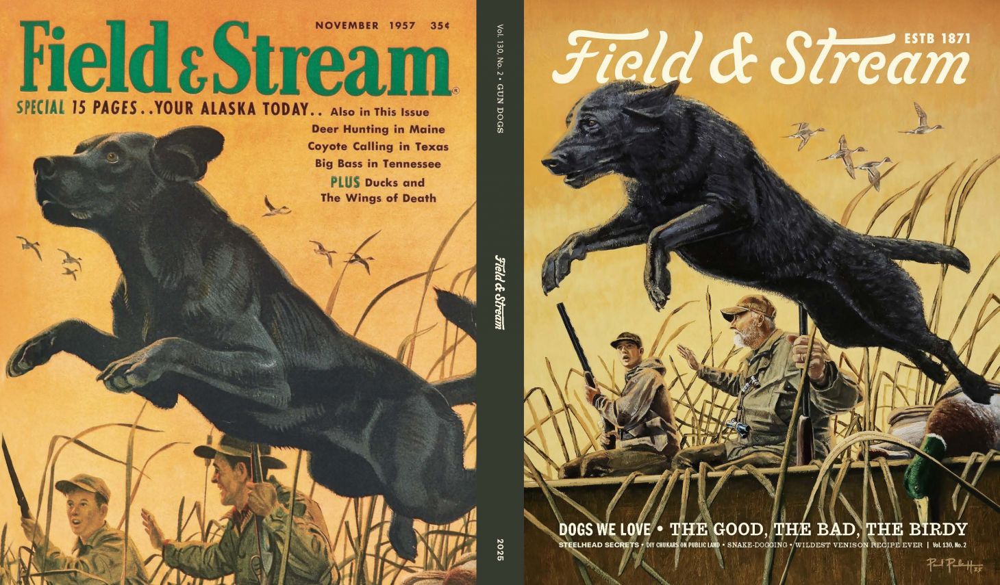 side-by-side covers of a black Lab on field & Stream
