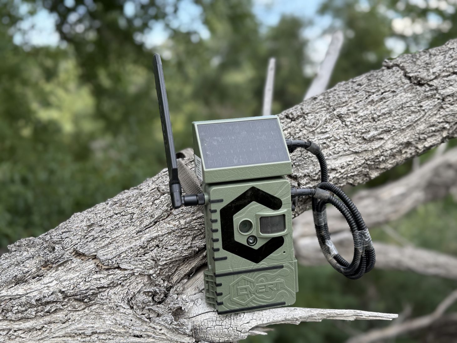 Covert's new Interceptor Solar is one of the best cellular trail cameras of 2025.