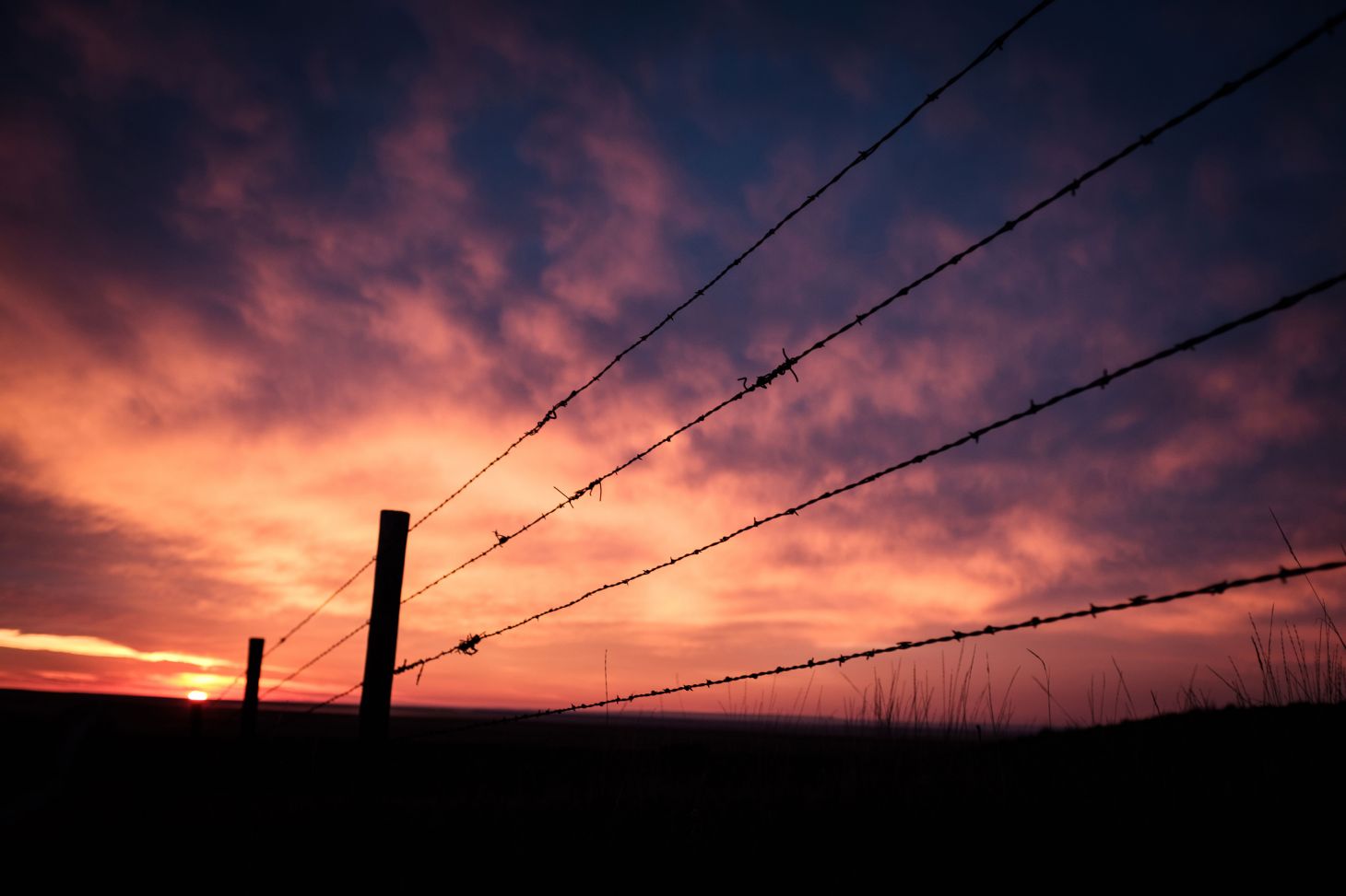 A fence line at sunset. 
