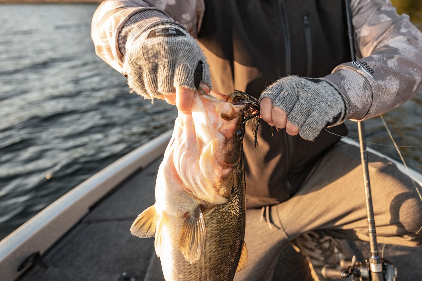 Bass with jig in mouth